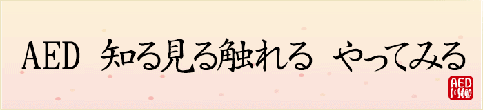 AED知る見る触れるやってみる