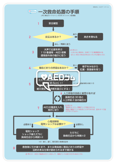 【蘇生ガイドライン2025】一次救命処置の変更点とは? 6 一次救命処置の手順