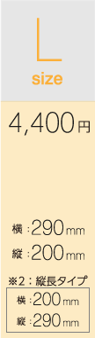 AEDマグネットLサイズ