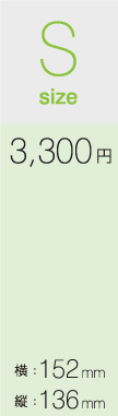 AEDマグネットSサイズ