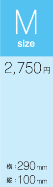 AEDステッカーMサイズ